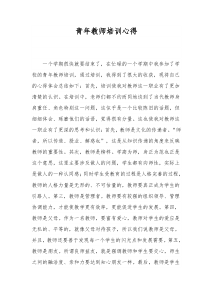 青年教师培训心得-2