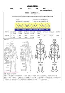 疼痛及感觉障碍评估量表