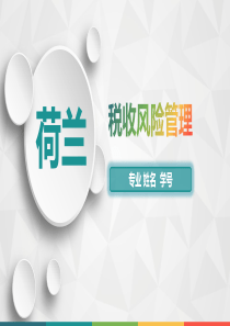 荷兰税收风险管理（PPT30页)