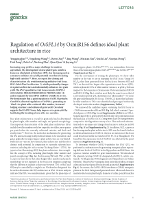 Regulation-of-OsSPL14-by-OsmiR156-defines-ideal-pl