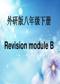 外研版八年级下册RevisionmoduleB.ppt