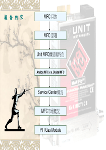 Unit-Mass-Flow-Controller