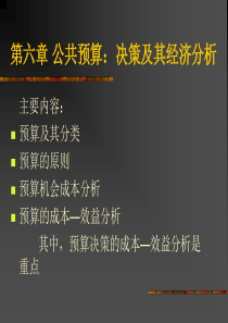 第六章公共预算：决策及其经济分析