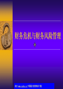 财务危机与财务风险管理(ppt 79)