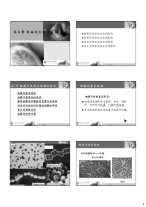 食品的生物性污染-细菌