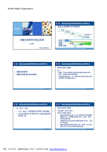 质量风险管理与药品检查