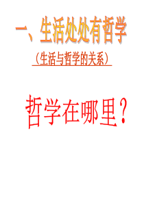 [名校联盟]江苏省海头高级中学高中政治总复习：哲学生活-1.1.1生活处处有哲学