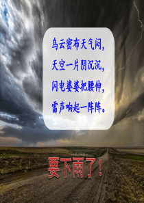 部编版二年级下册语文16 雷雨