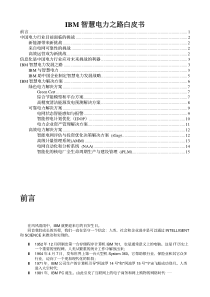 IBM智慧电力(智能电网)之路白皮书