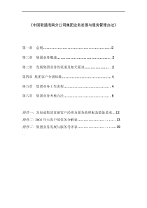 中国联通海南分公司集团业务发展与服务管理办法