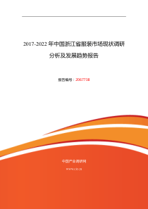 2017年浙江省服装行业现状及发展趋势分析-(目录)