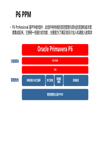 Oracle-P6--PPM与EPPM的区别