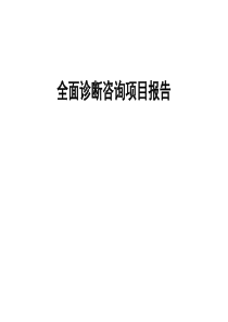 全面诊断咨询项目报告