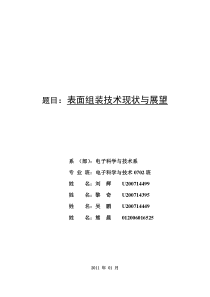 表面组装技术现状与展望 0702班刘辉小组