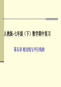 新人教版七年级下册数学期中复习精品课件-