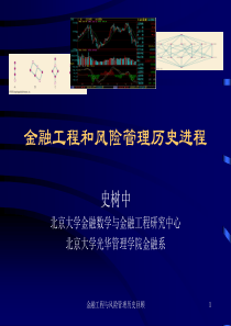 金融工程与风险管理的历史进程(史树中)