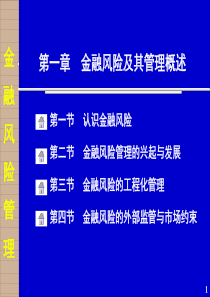 金融风险及其管理概述