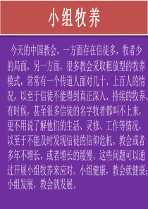 小组牧养及功能结构图