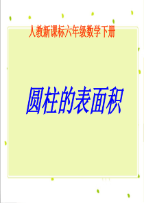 人教新课标数学六年级下册《圆柱的表面积 6》PPT课件