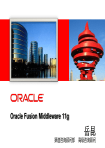 Oracle Fusion Middleware 11g 介绍