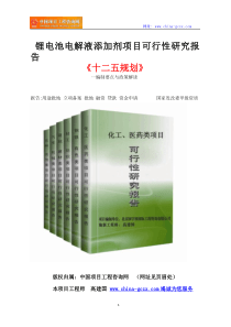 锂电池电解液添加剂项目可行性研究报告立项范文格式 2