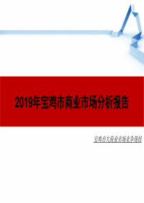 2019年宝鸡市商业市场分析报告-PPT精品文档