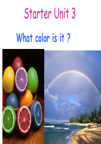 What color is it单元课件.ppt9