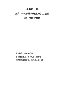 xx吨水果和蔬菜深加工项目可研报告