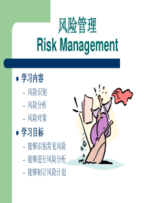 项目的风险管理(1)