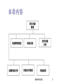 项目风险管理25628826