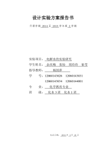 电解水设计实验方案报告书(打印)