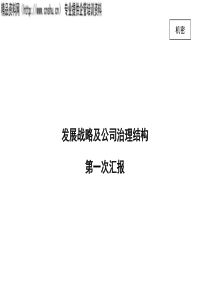 中长期发展战略规划（ppt113）