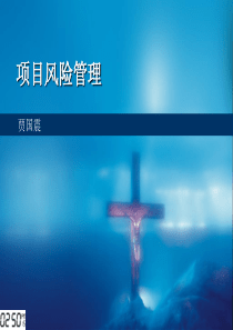 项目风险管理（PDF59页）