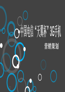 中国3G手机营销策划(PPT)