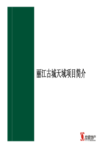 丽江古城天域项目发展策略报告-102页