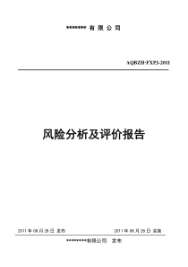 风险分析及评价报告例