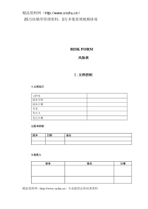 项目管理表格-风险表