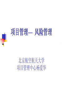 项目风险管理（PPT 60页）