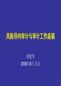 风险导向审计与审计工作底稿-北京国家会院