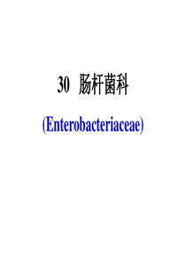 肠杆菌科(Enterobacteriaceae)总结