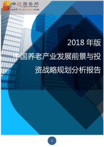 2018年版中国养老产业发展前景与投资战略规划分析报告(目录)