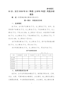 风险报告