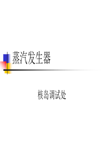 蒸汽发生器