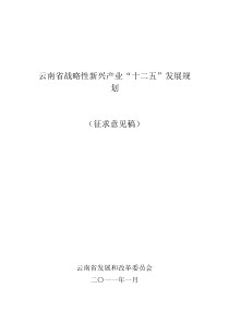 云南省战略性新兴产业“十二五”发展规划