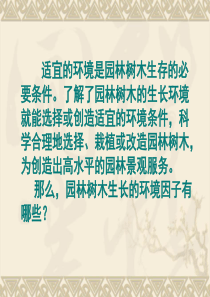 园林树木的生长环境1