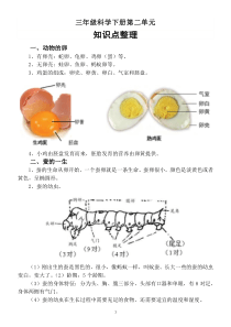 小学科学教科版三年级下册第二单元《动物的一生》知识点整理