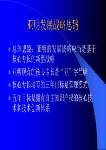 亚明发展战略思路pp(1)