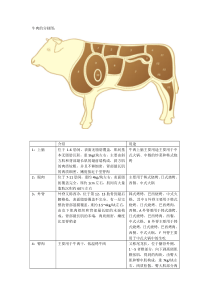 牛肉各部位简介和菜肴做法-2