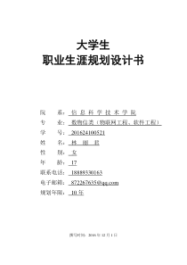 大学生职业生涯规划设计书(计算机专业)