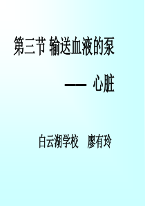 第四章第三节输送血液的泵——心脏详解